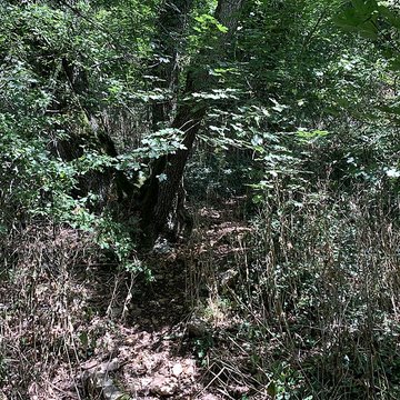 Grotte des Furtins également sur commune de Sologny