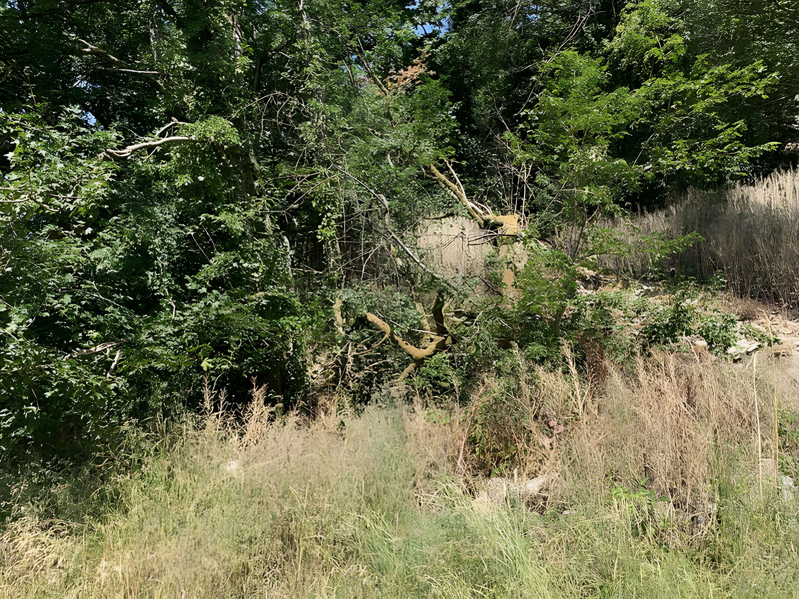 Grotte des Furtins (également sur commune de Sologny)