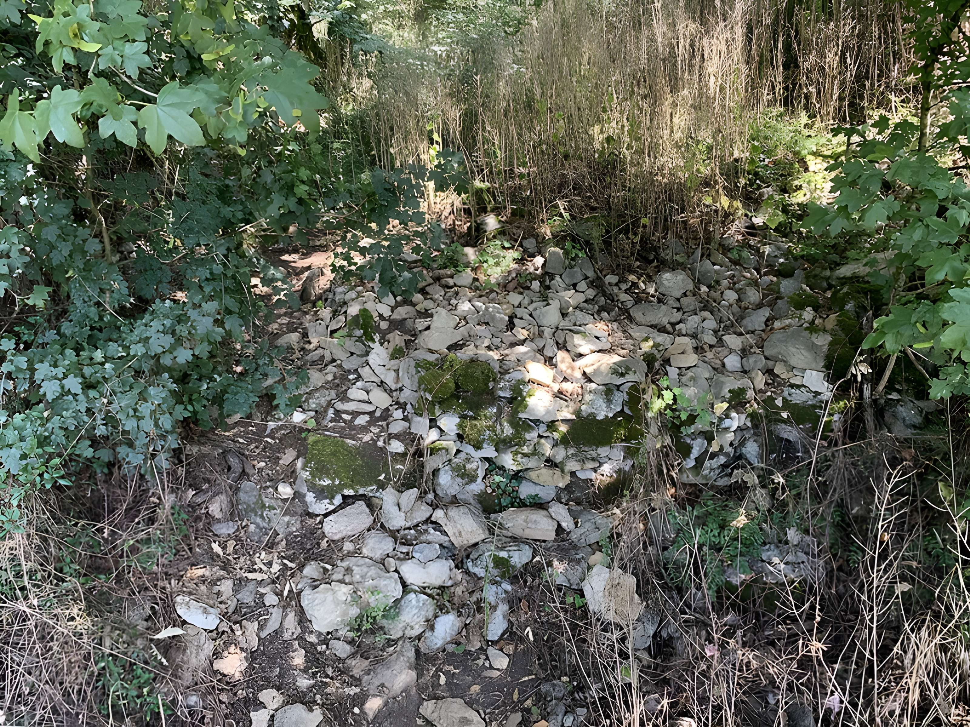 Grotte des Furtins (également sur commune de Sologny)