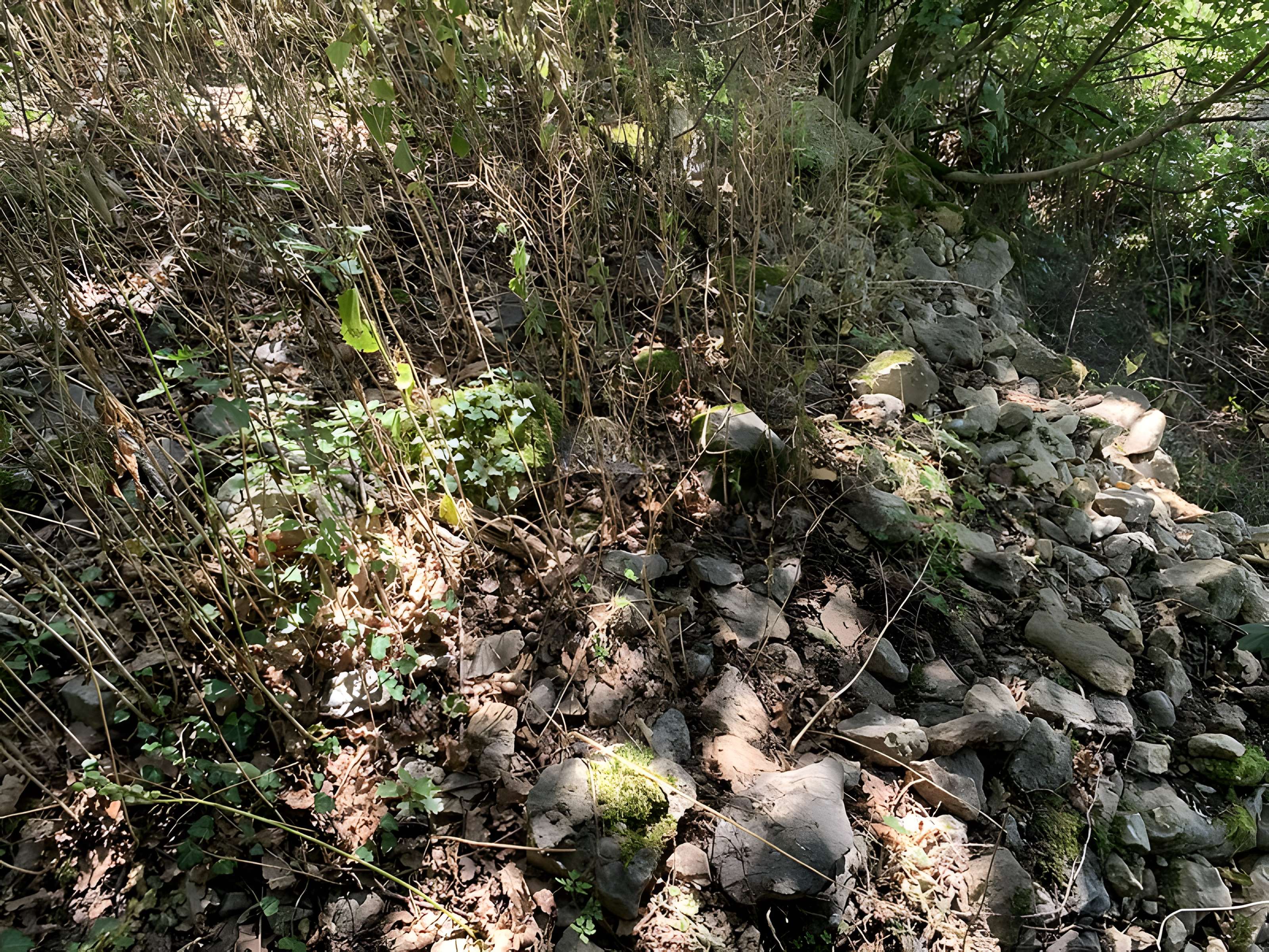 Grotte des Furtins (également sur commune de Sologny)