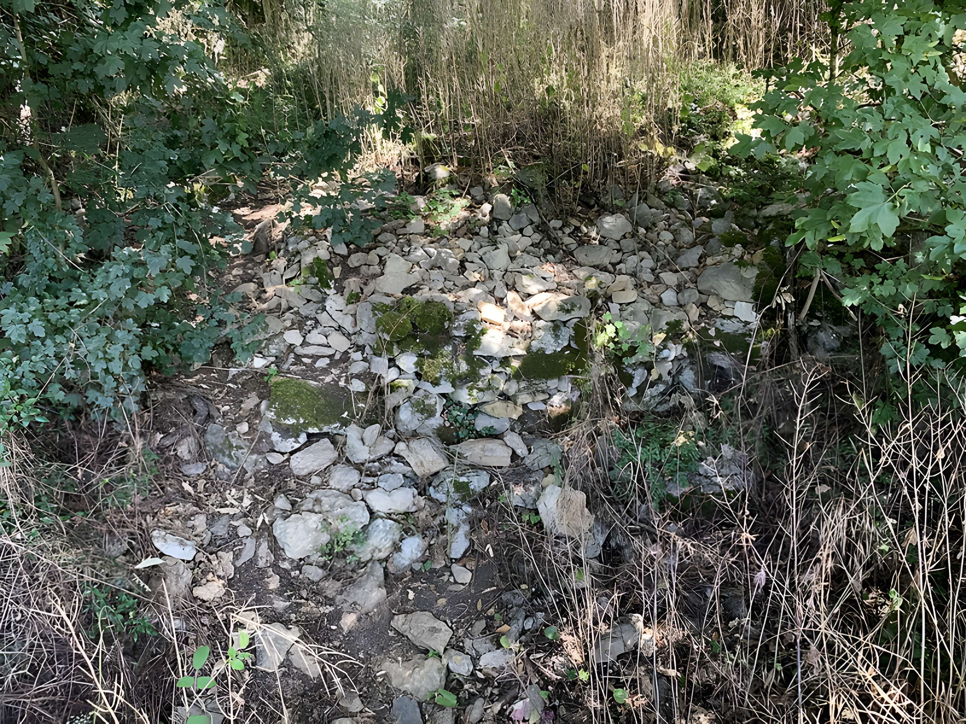 Grotte des Furtins (également sur commune de Sologny)