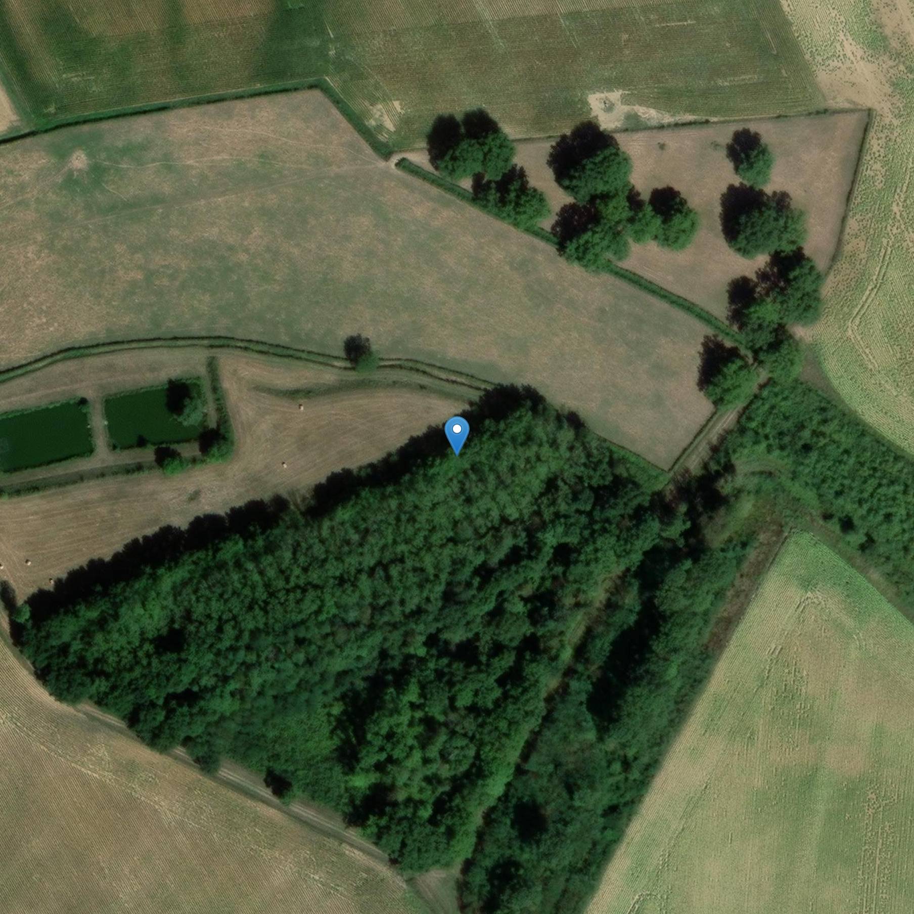 Photo de Nacido blindado