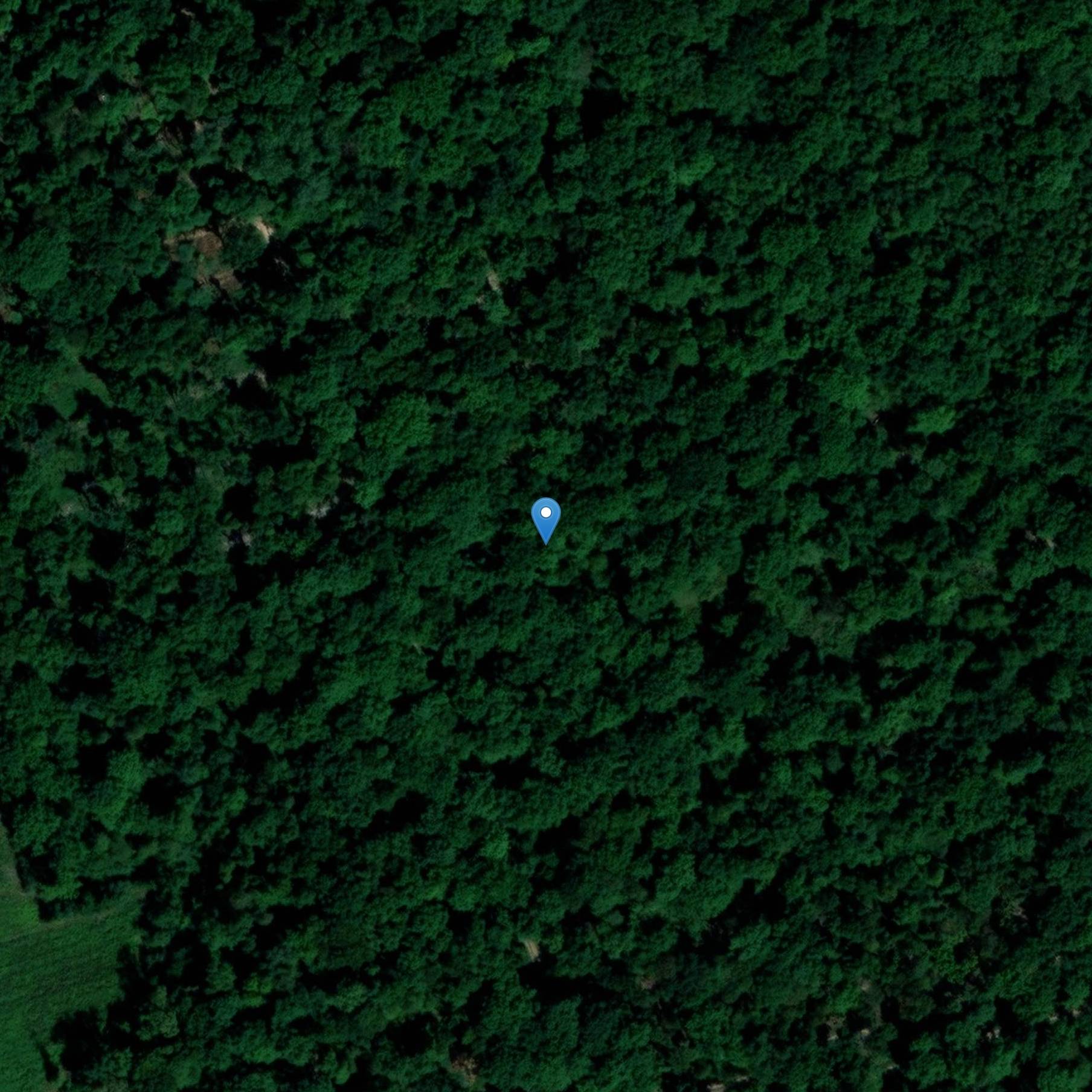 Photo de Borne armoriée