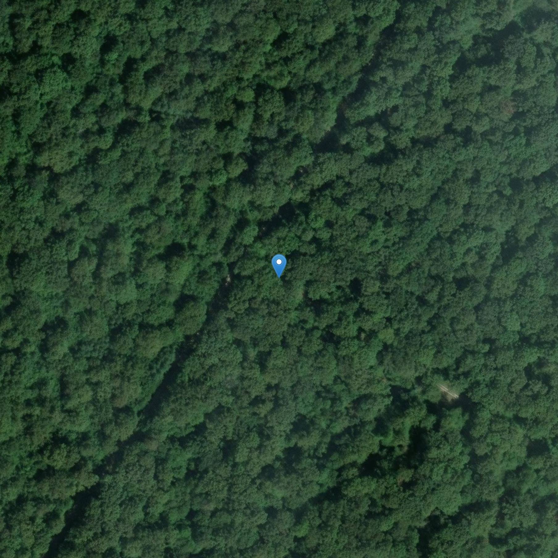 Photo de Nato armato