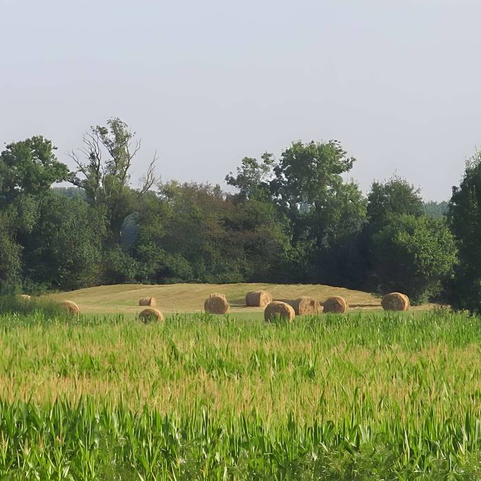 Photo de Deux tumulus