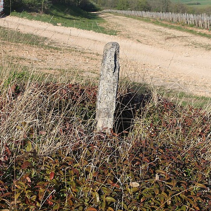 Photo de Borne armoriée également sur commune de Mercurey