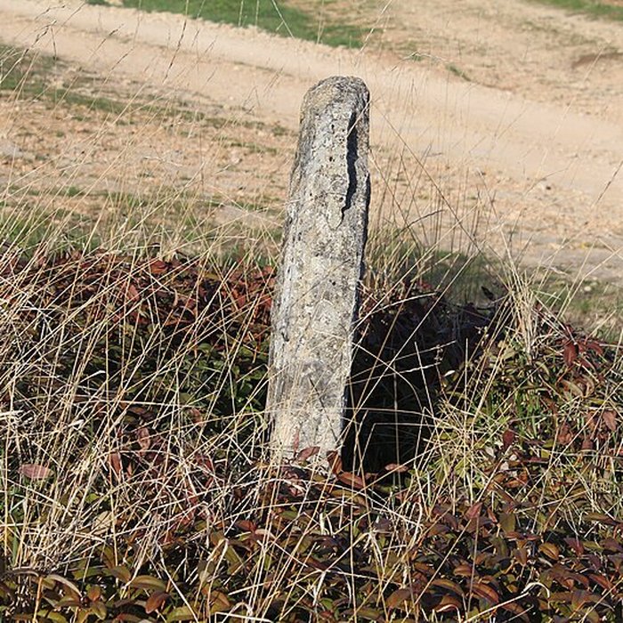 Photo de Borne armoriée également sur commune de Mercurey