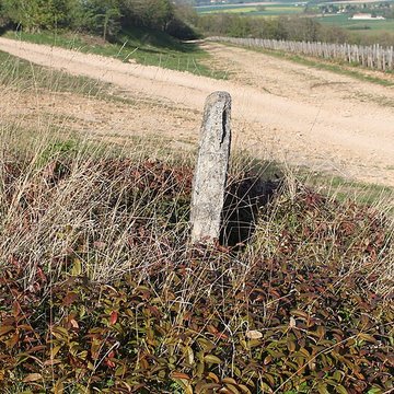 Borne armoriée également sur commune de Rully