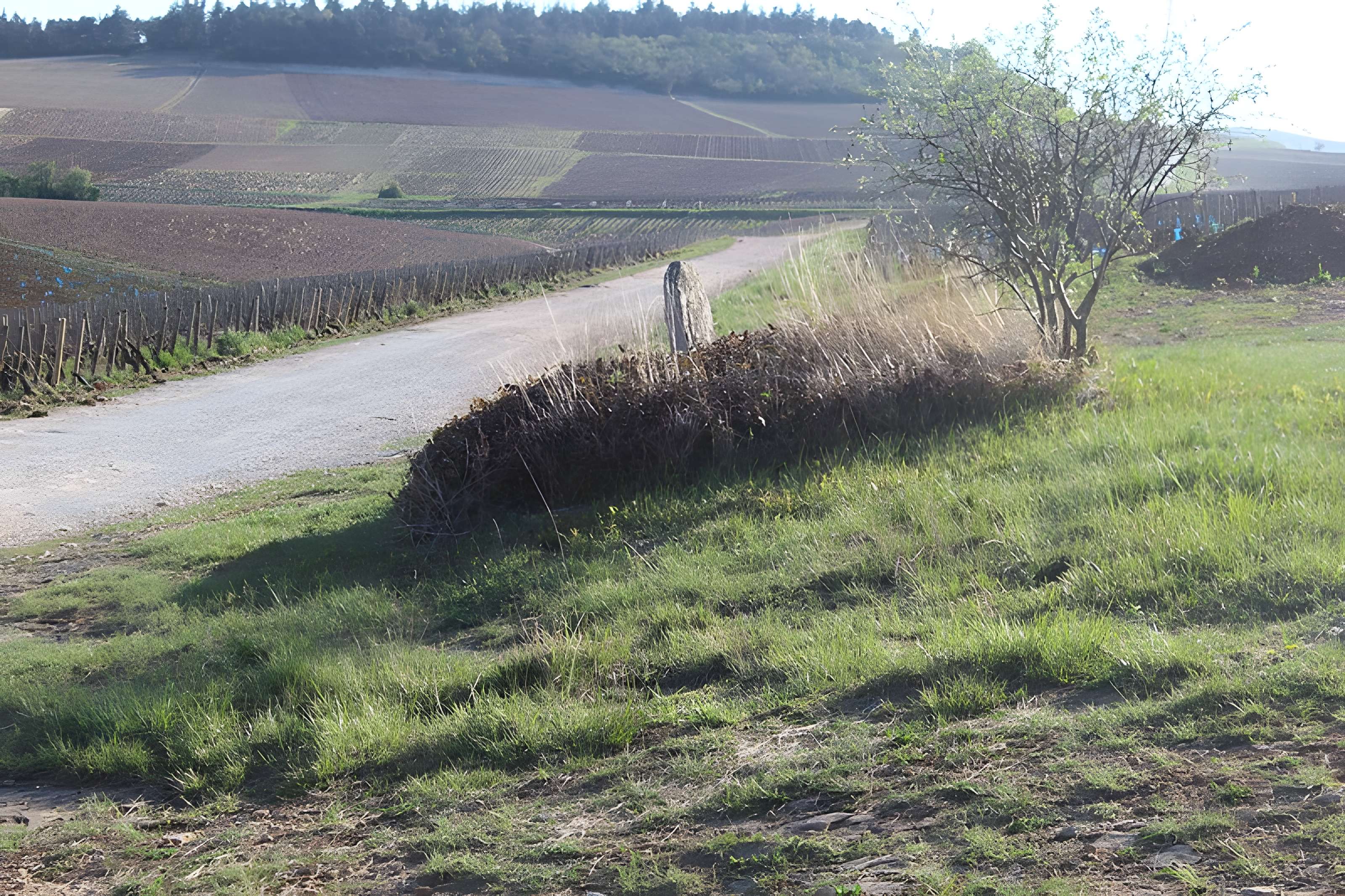 Borne armoriée (également sur commune de Rully)