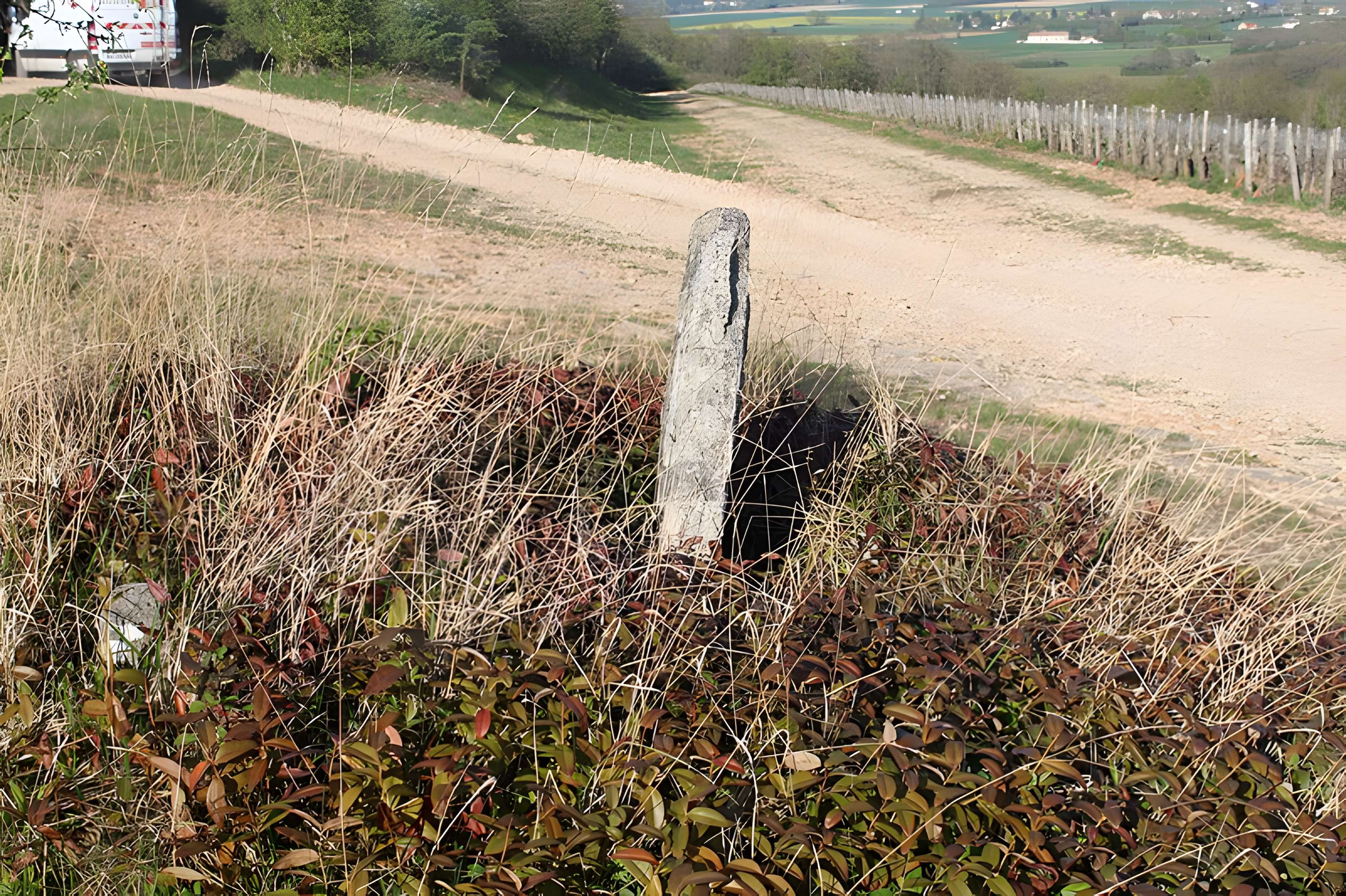 Borne armoriée (également sur commune de Rully)
