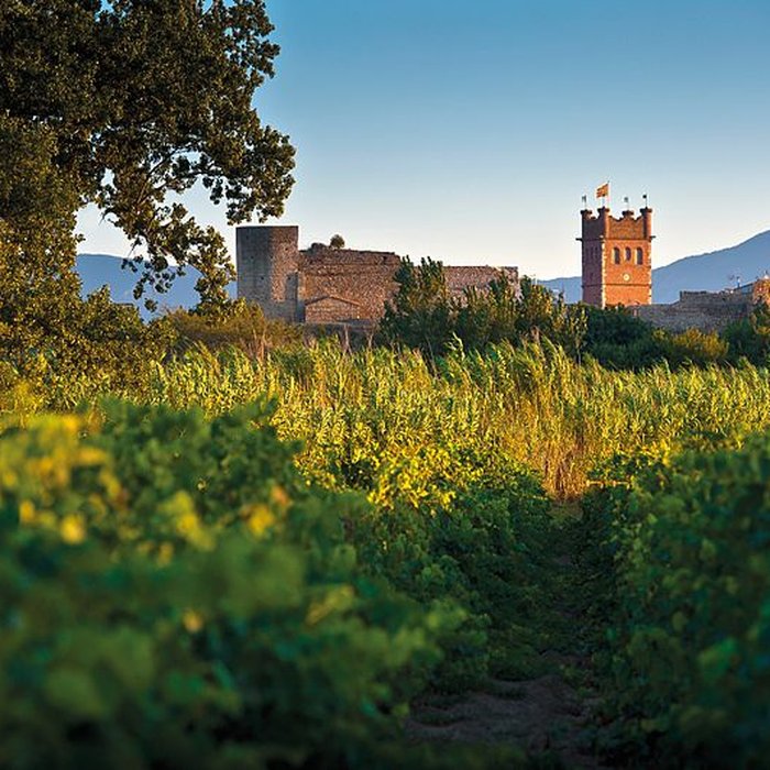 Photo de Château de Canet-en-Roussillon