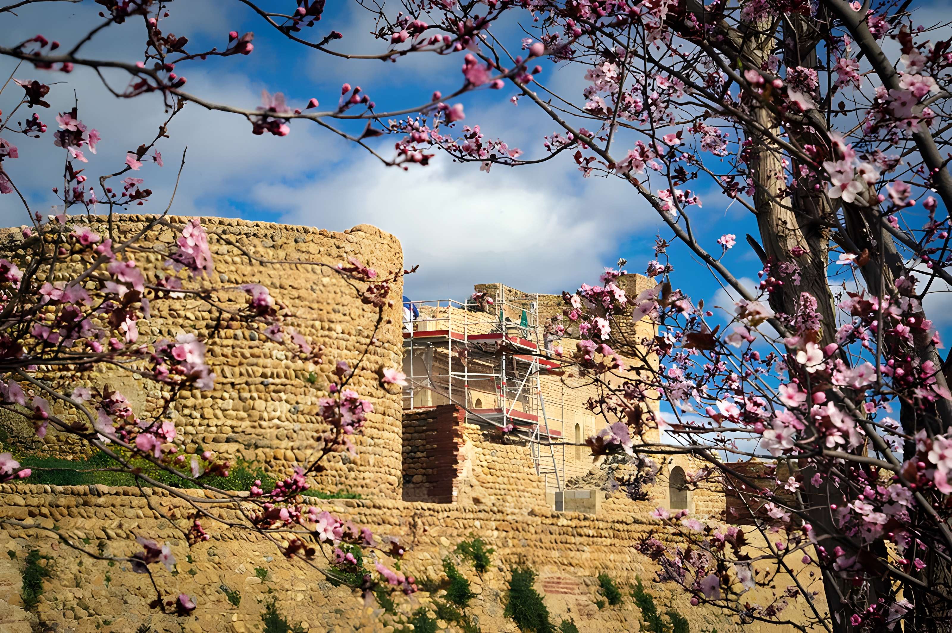 Château de Canet-en-Roussillon