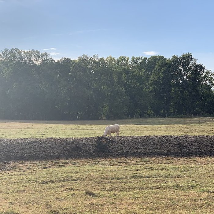 Photo de Maison forte de la Serrée