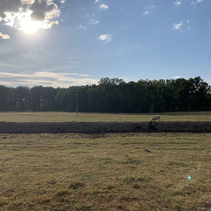 Photo de Maison forte de la Serrée