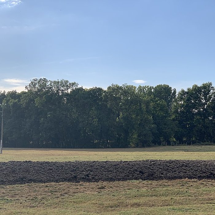 Photo de Maison forte de la Serrée