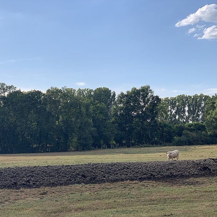 Photo de Maison forte de la Serrée