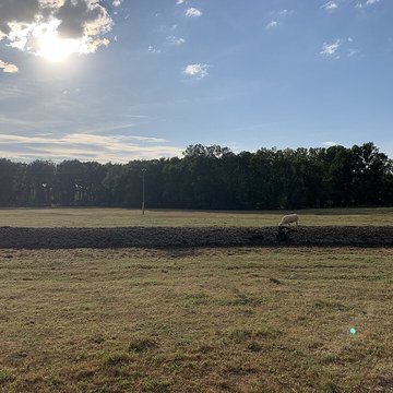 Maison forte de la Serrée