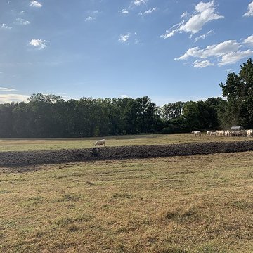 Maison forte de la Serrée