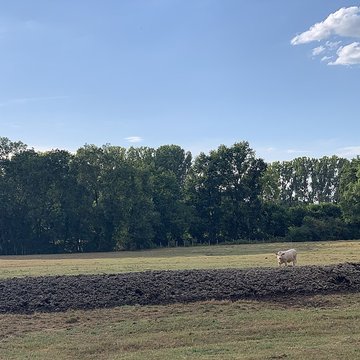 Maison forte de la Serrée