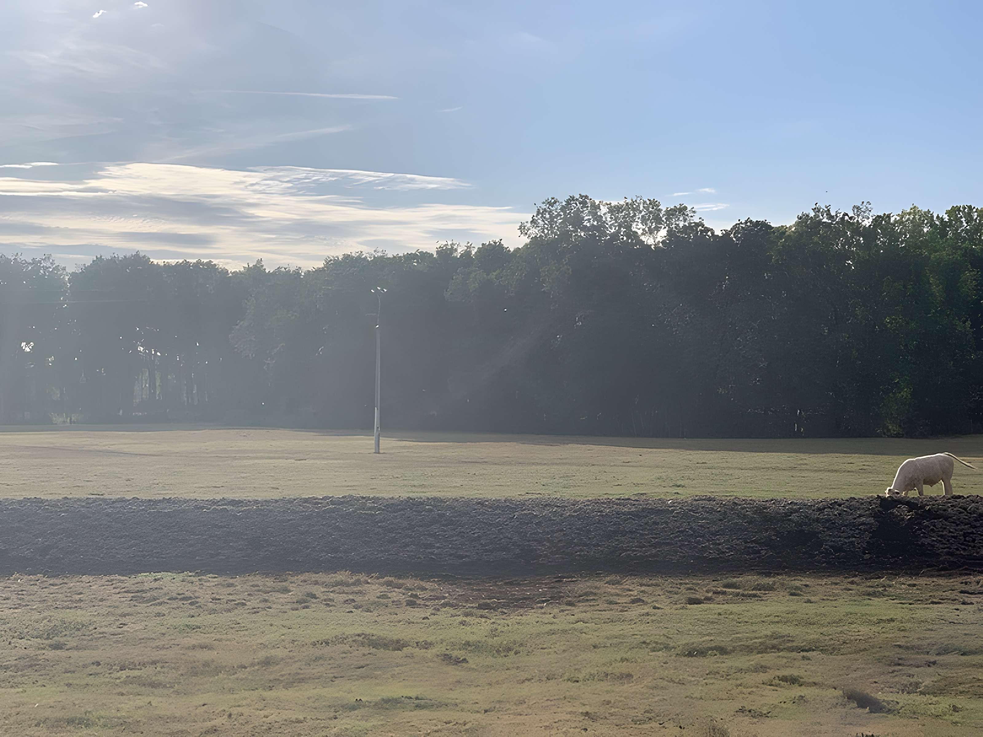 Maison forte de la Serrée