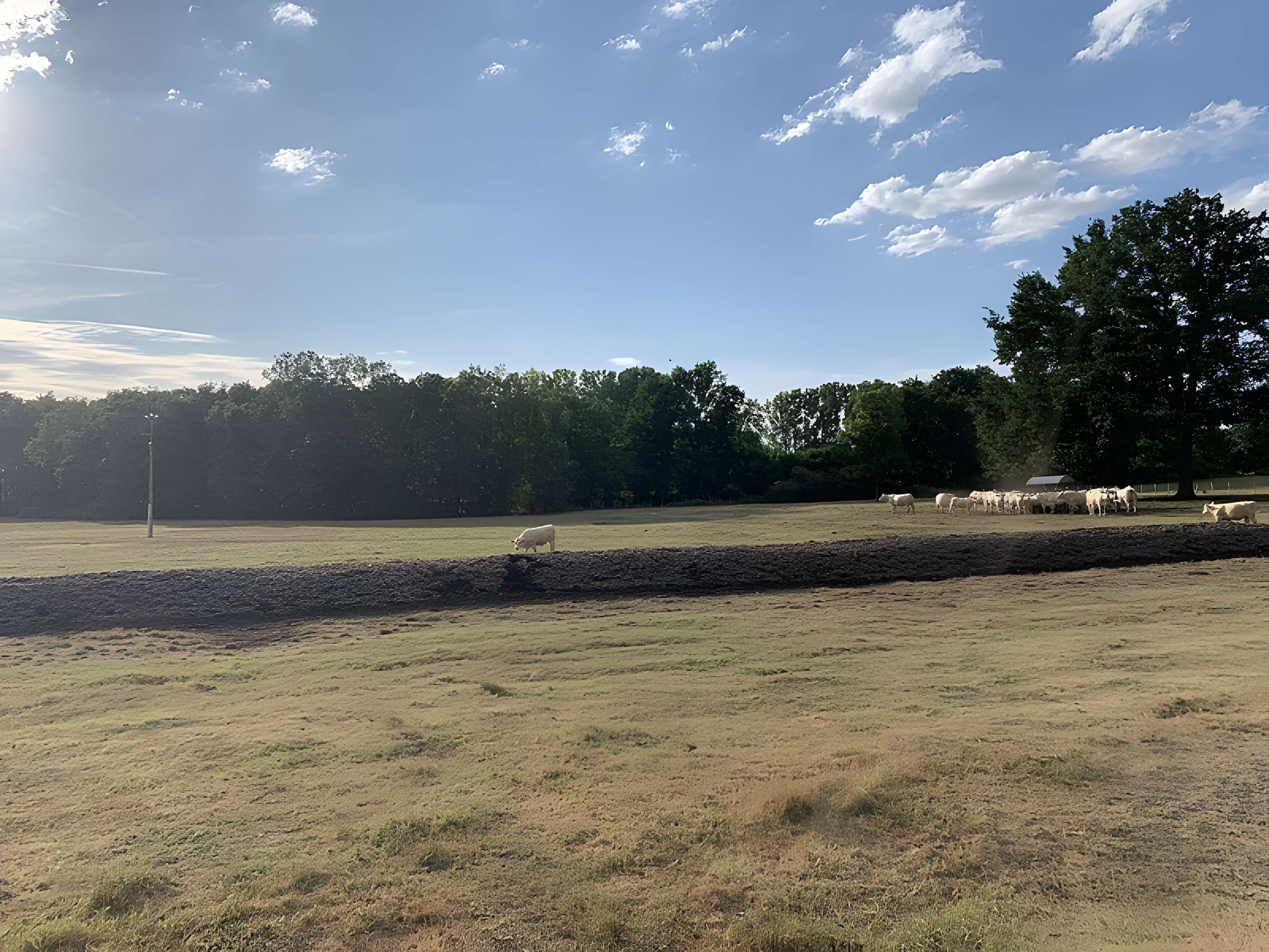 Maison forte de la Serrée