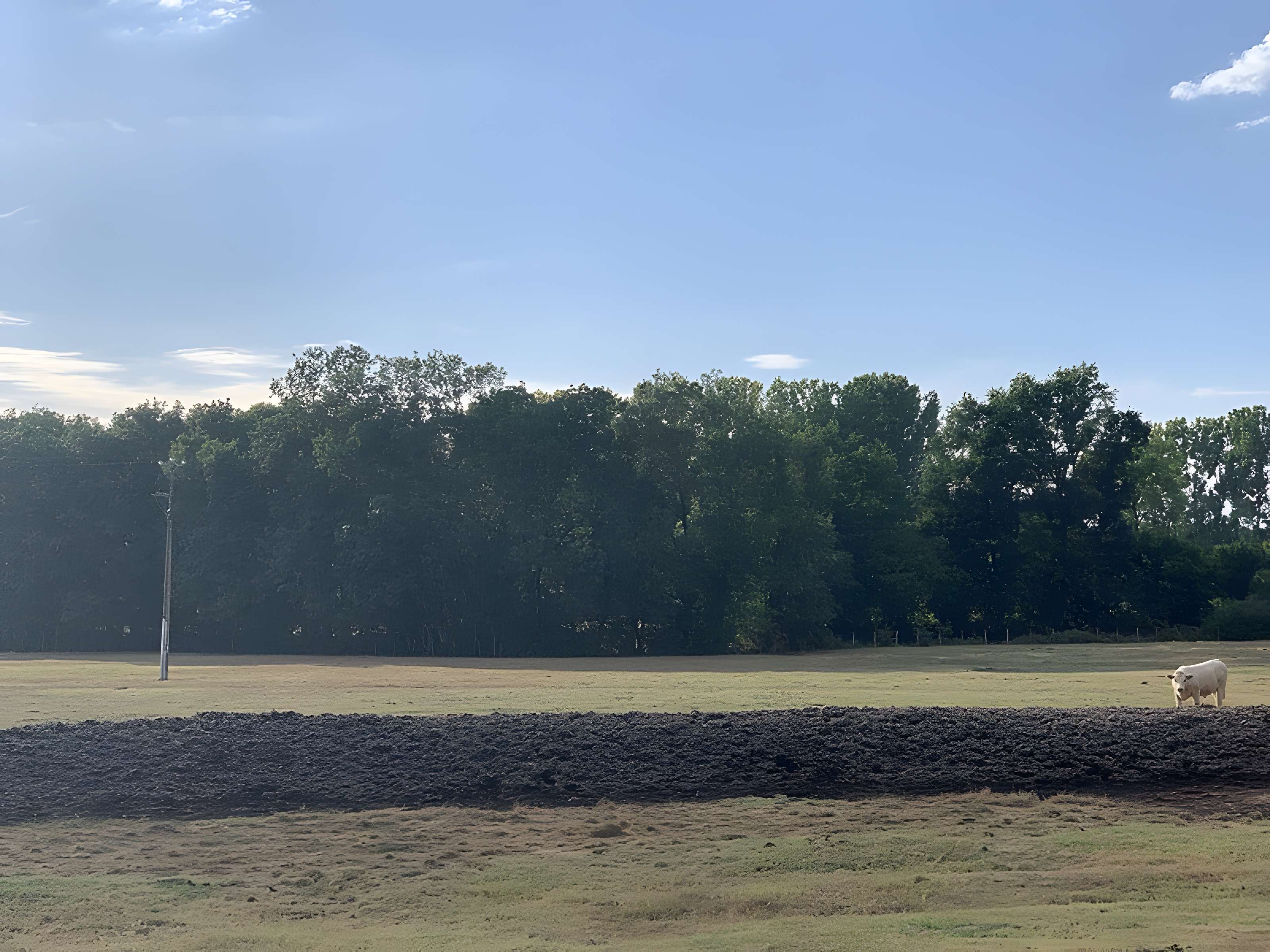 Maison forte de la Serrée