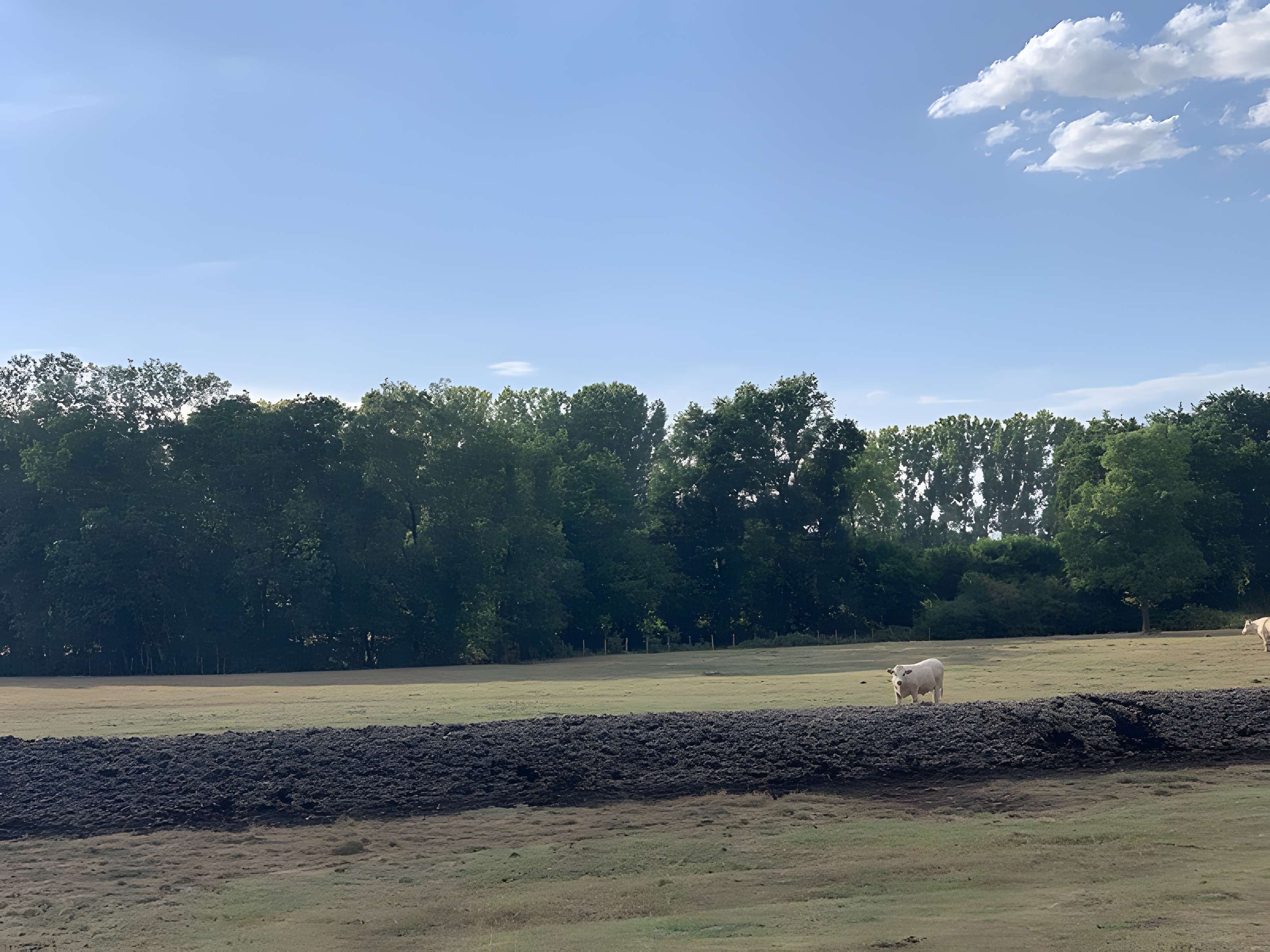 Maison forte de la Serrée