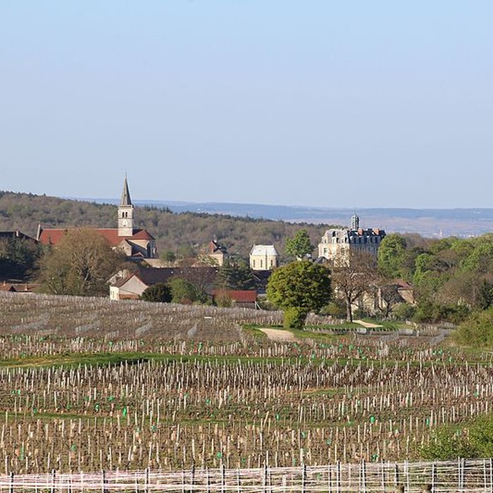 Photo de Chapelle du Meix-Saint-Michel