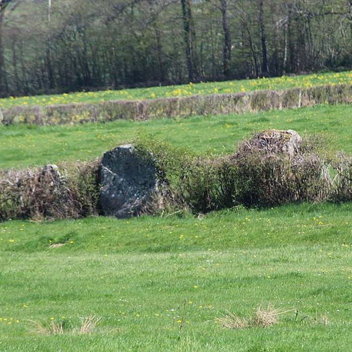 Photo de Alignements du Camp de la Justice