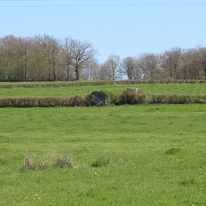 Photo de Alignements du Camp de la Justice