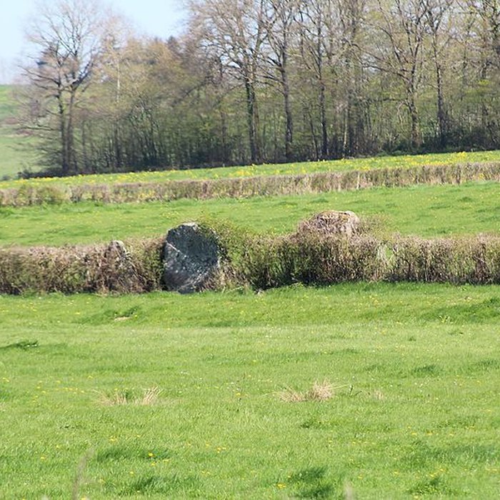 Photo de Alignements du Camp de la Justice