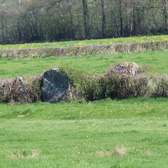 Photo de Alignements du Camp de la Justice