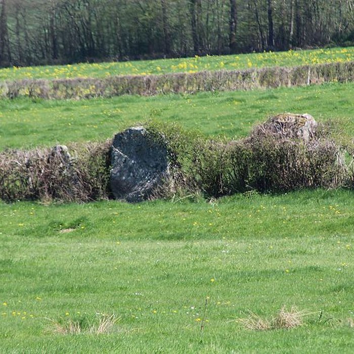 Photo de Alignements du Camp de la Justice