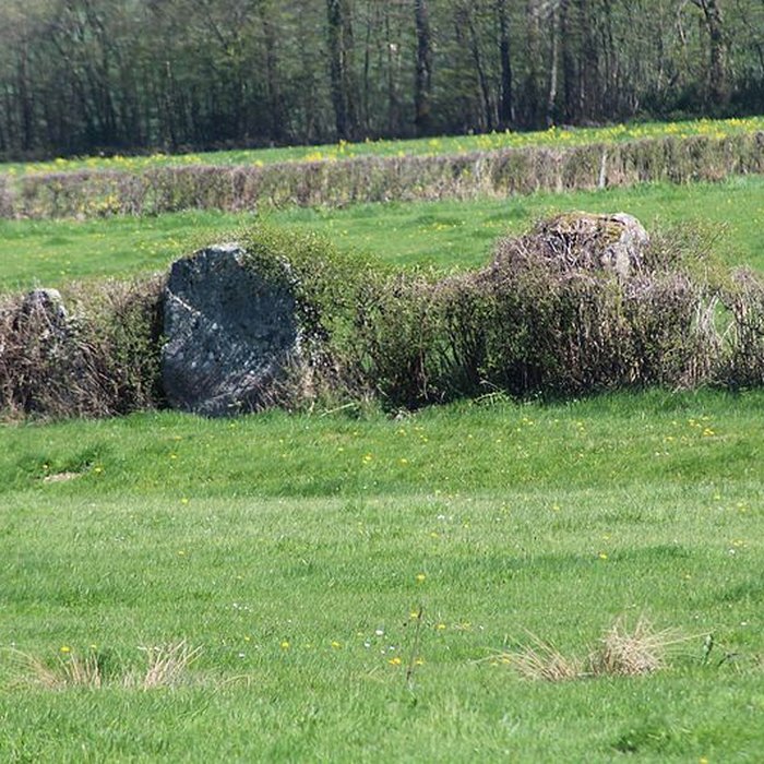 Photo de Alignements du Camp de la Justice