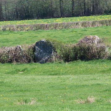 Alignements du Camp de la Justice