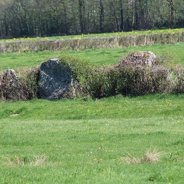 Alignements du Camp de la Justice