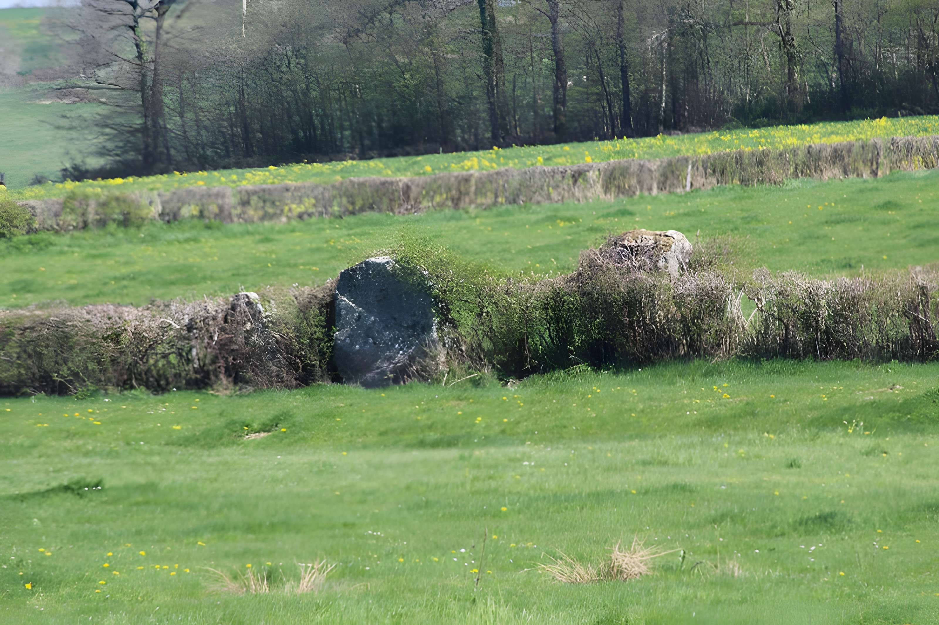 Alignements du Camp de la Justice