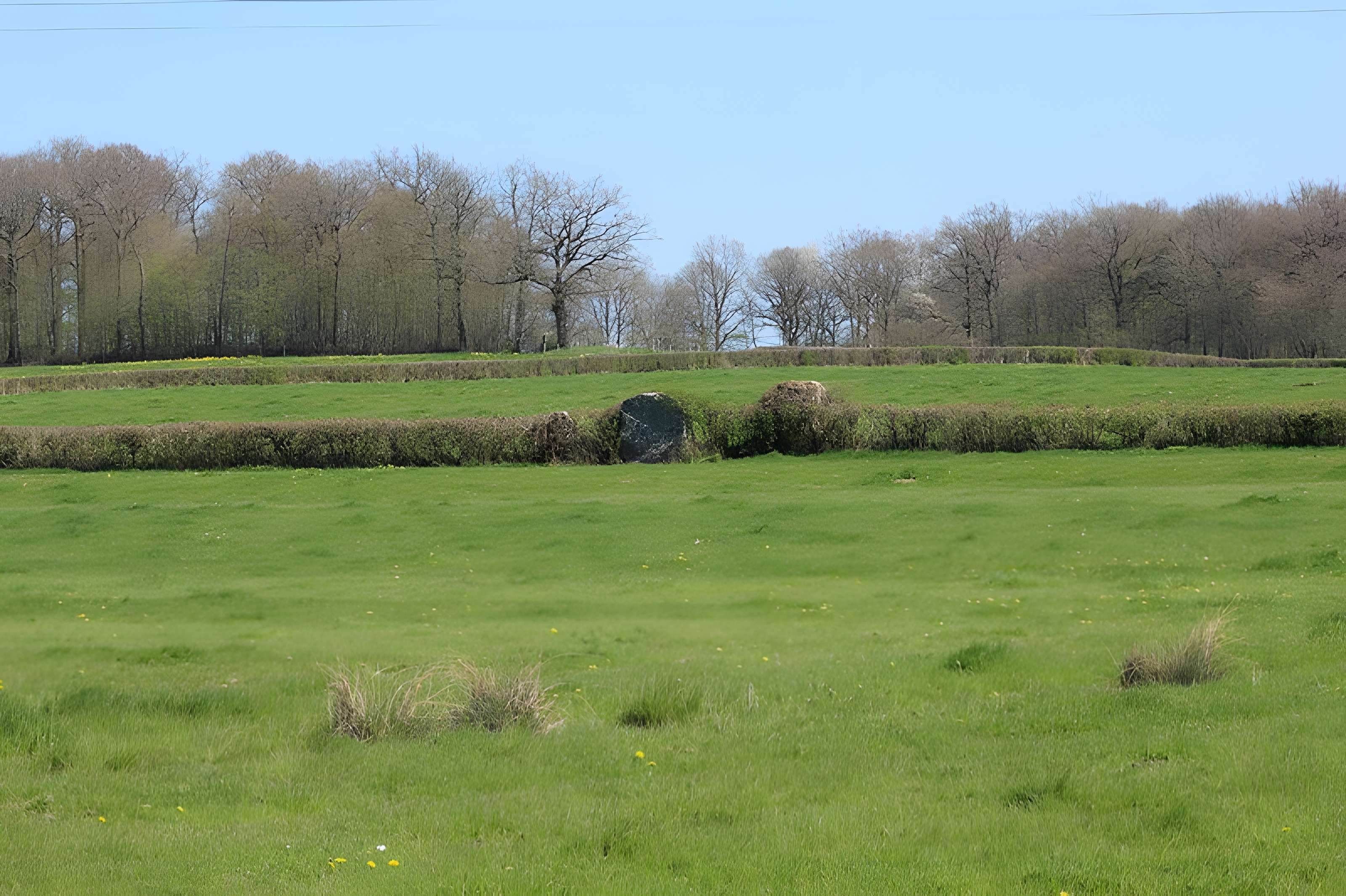 Alignements du Camp de la Justice