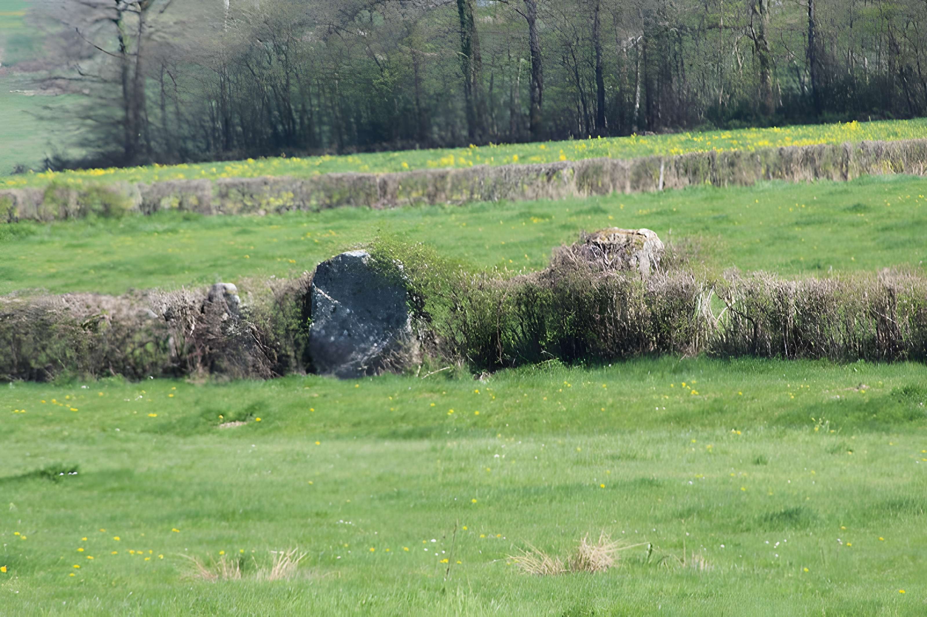 Alignements du Camp de la Justice