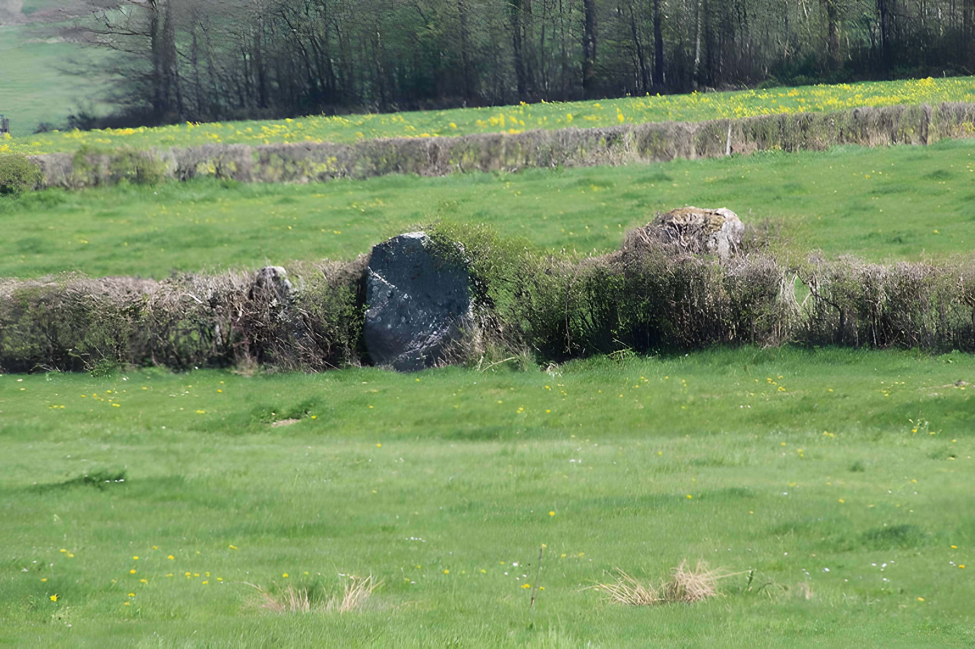 Alignements du Camp de la Justice