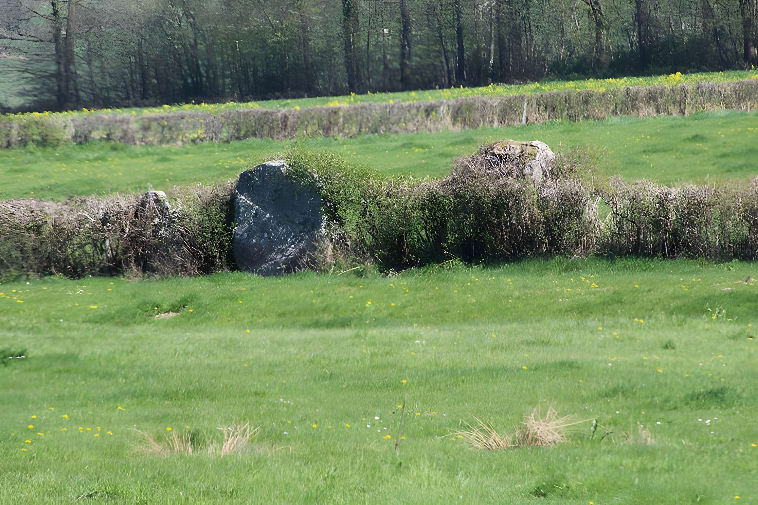 Alignements du Camp de la Justice