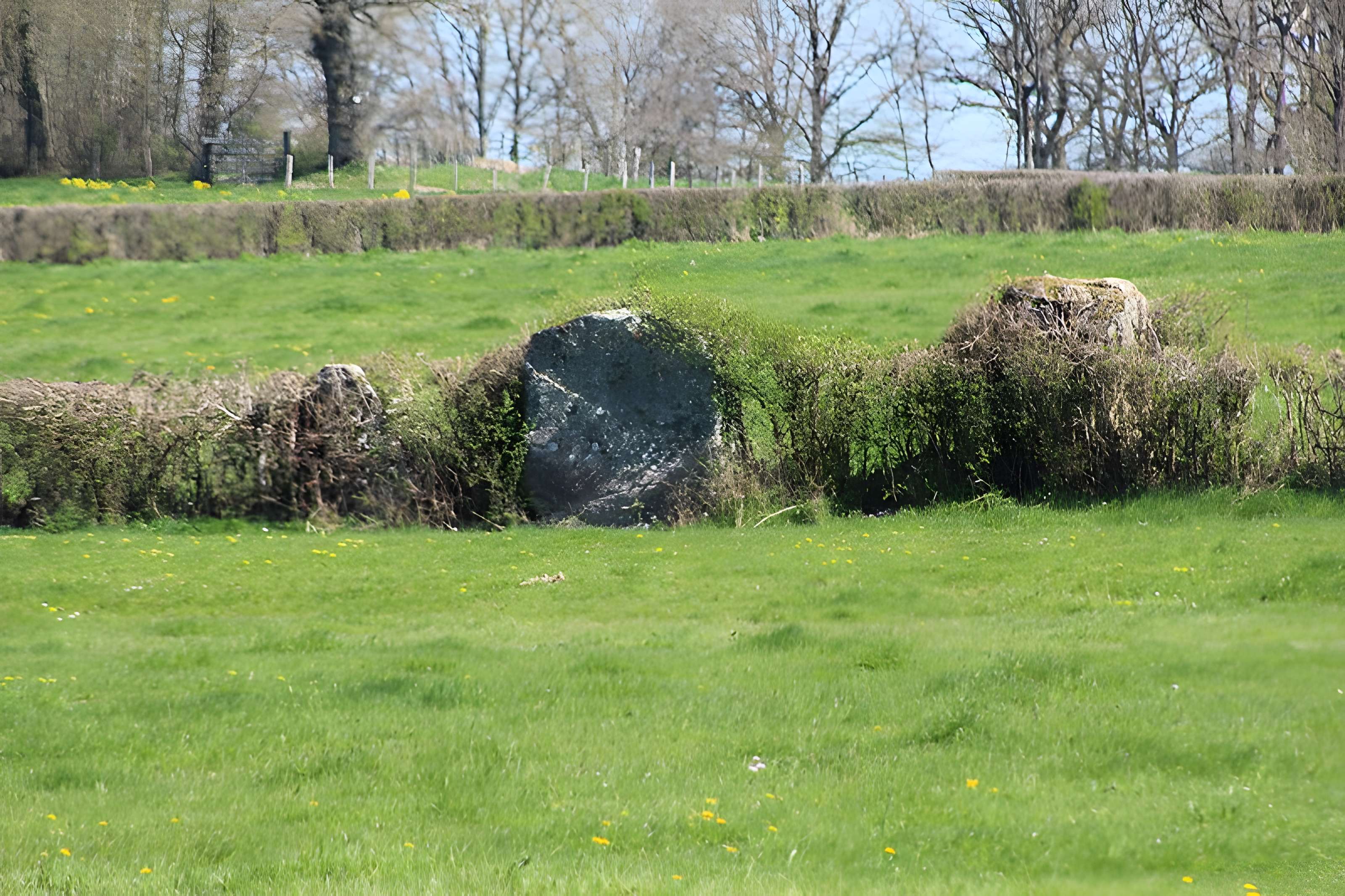 Alignements du Camp de la Justice