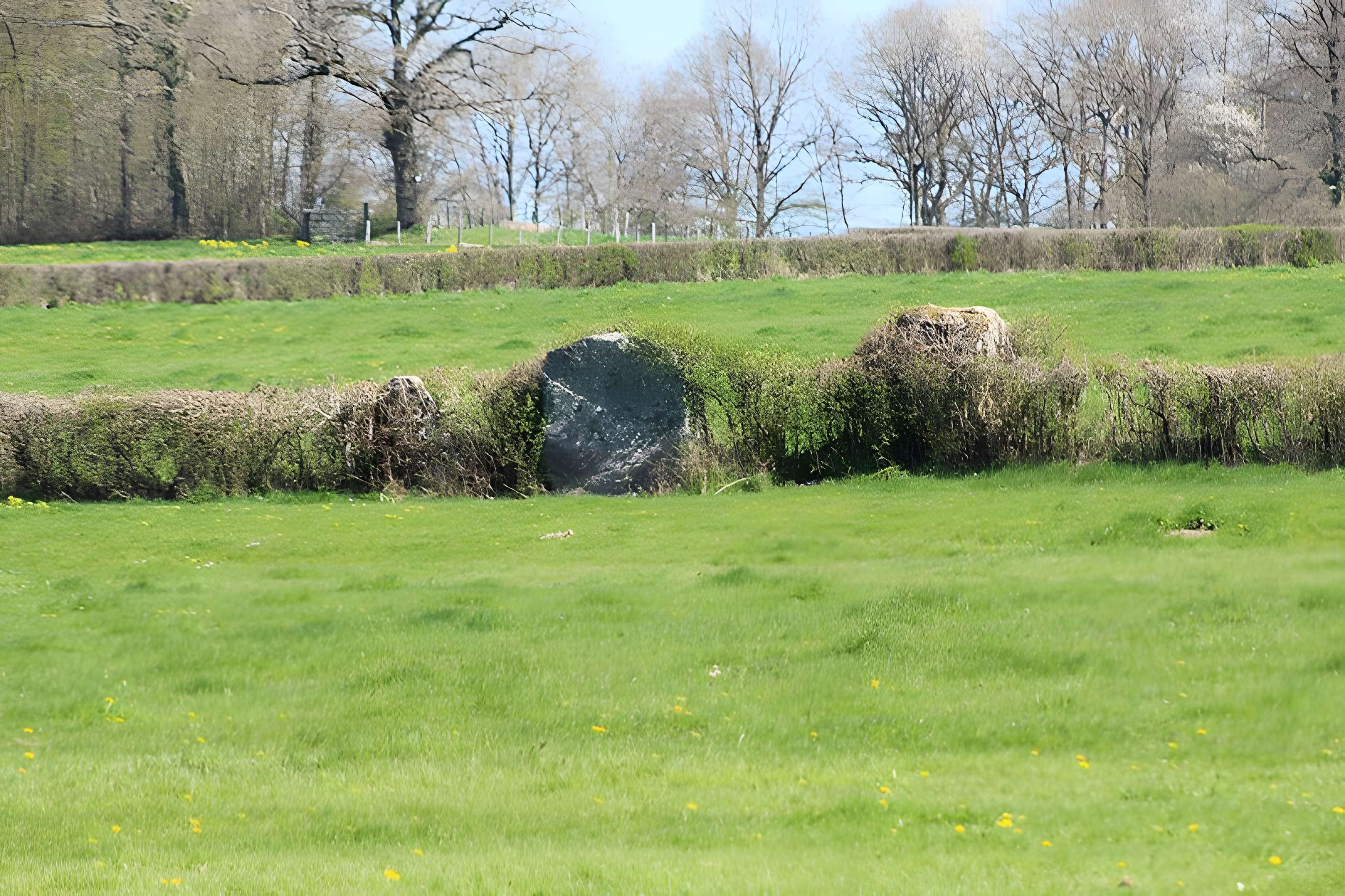 Alignements du Camp de la Justice