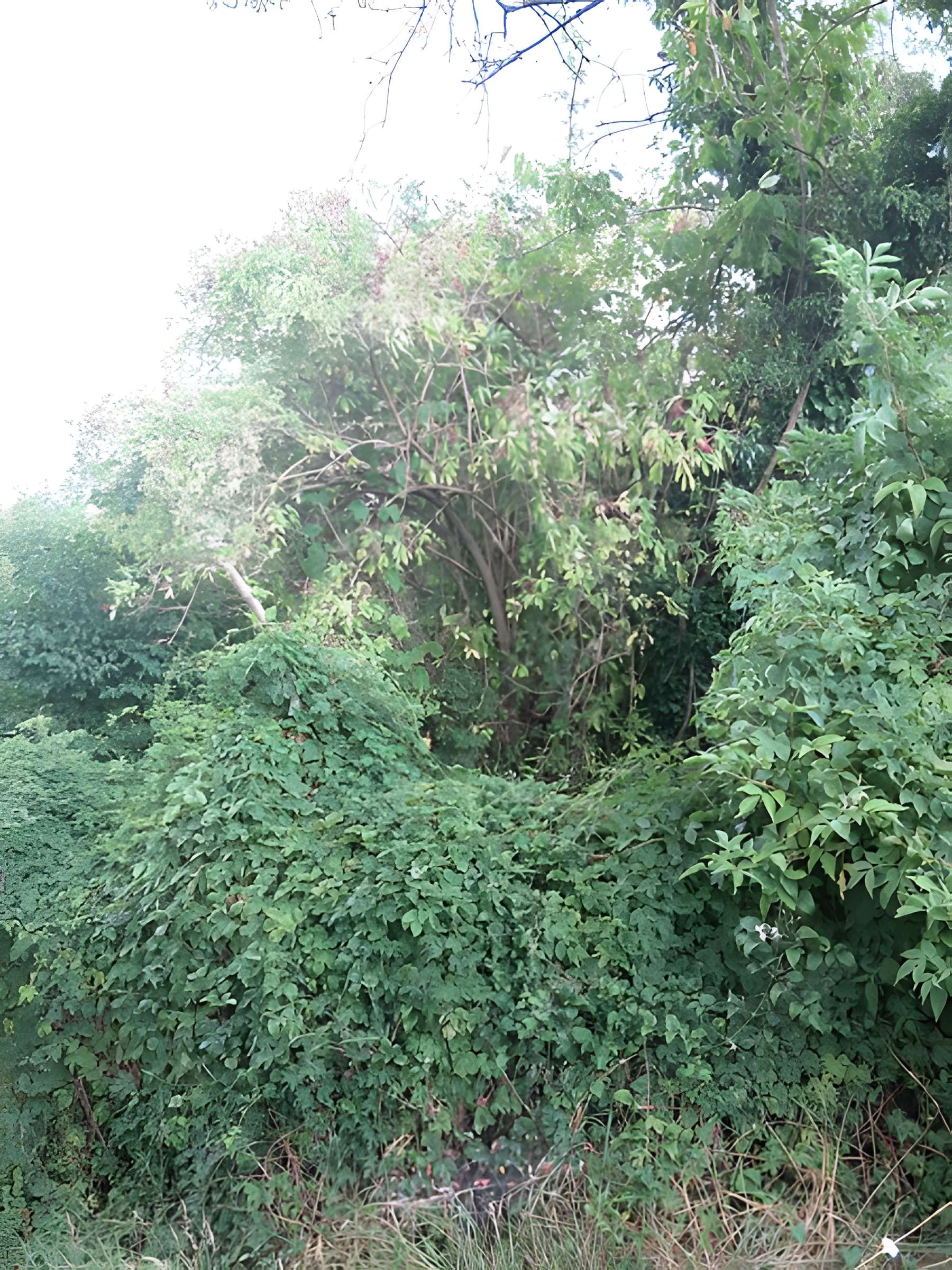 Presbytère de Lambres