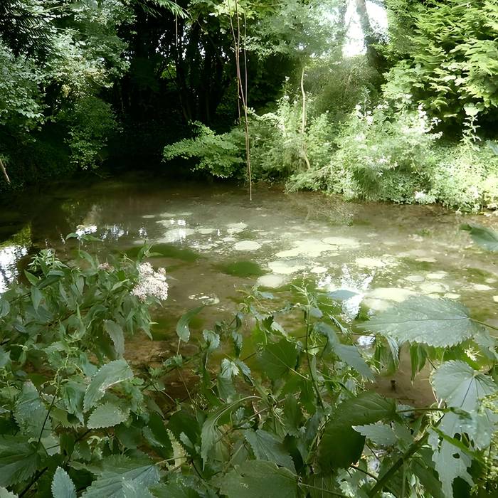 Photo de Complexe antique de Cherré