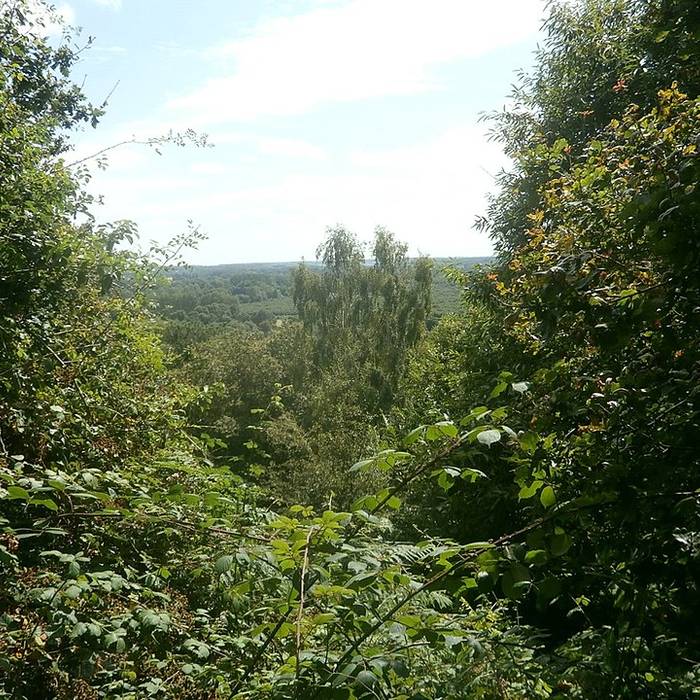 Photo de Complexe antique de Cherré