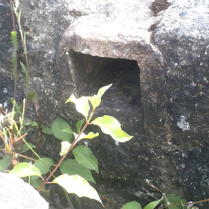 Photo de Complexe antique de Cherré