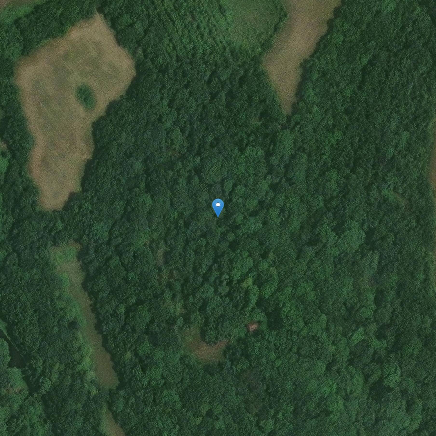 Photo de Oppidum dit Camp de Saint-Evroult