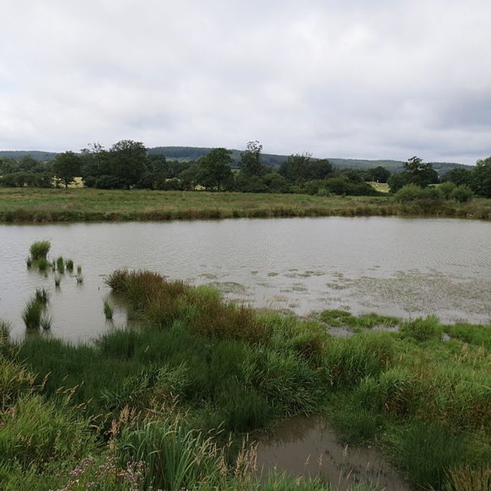 Photo de Château de Carrouges