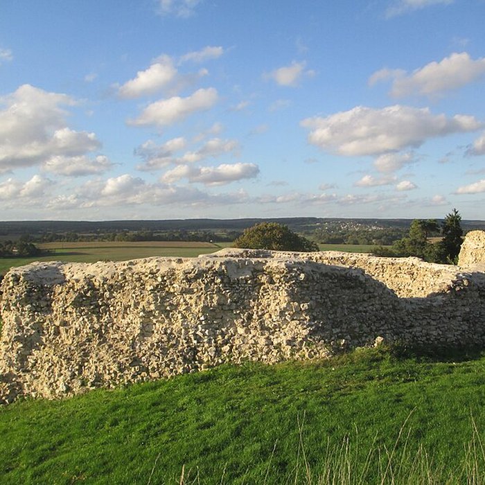 Photo de Ensemble castral